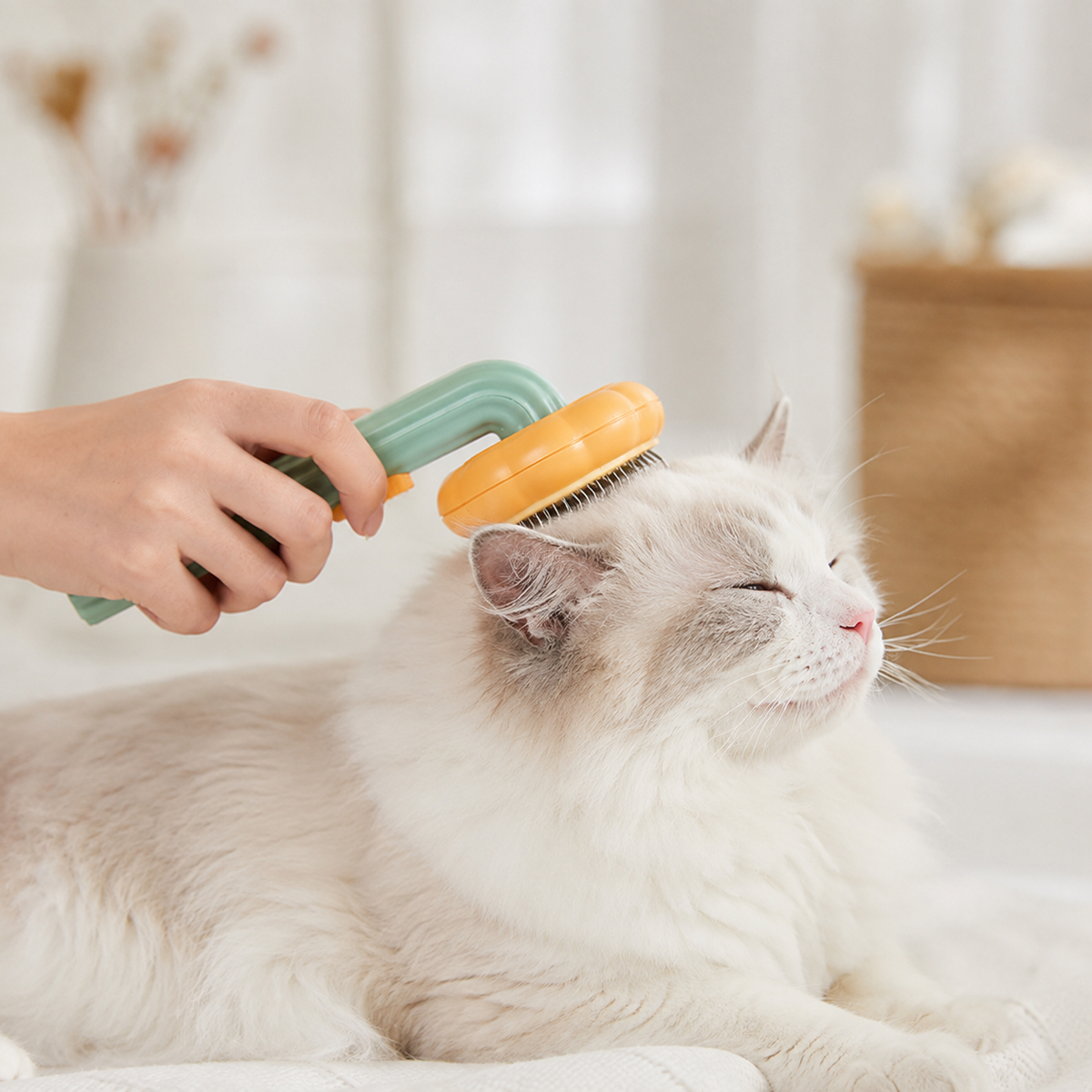 Cat being gently groomed with the Wandersnout Pumpkin Brush