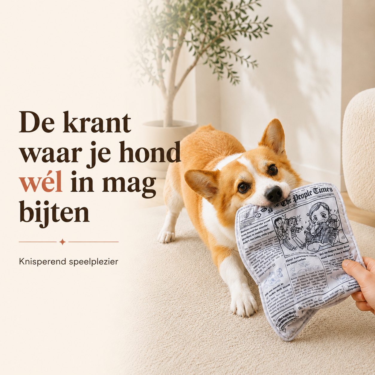 Wandersnout Knisperkrant Hondenspeeltje