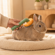 Wandersnout Pumpkin Brush self-cleaning grooming brush in use