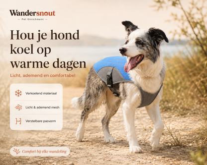 Gilet rafraîchissant | Gardez votre chien au frais pendant les journées chaudes