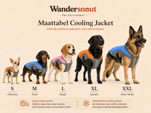 Cooling Jacket | Houd je hond koel op warme dagen