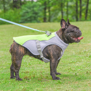Wandersnout Cooling Jacket Pro koelvest voor honden in gebruik