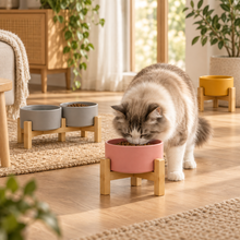 Kera voer- en drinkbakken voor hond en kat in natuurlijk interieur