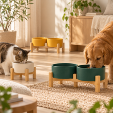 Kera matte keramische voerbakken in Scandinavisch interieur
