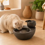 Luma Flow zwarte keramische kattenfontein met kat die uit de lage drinkschaal drinkt