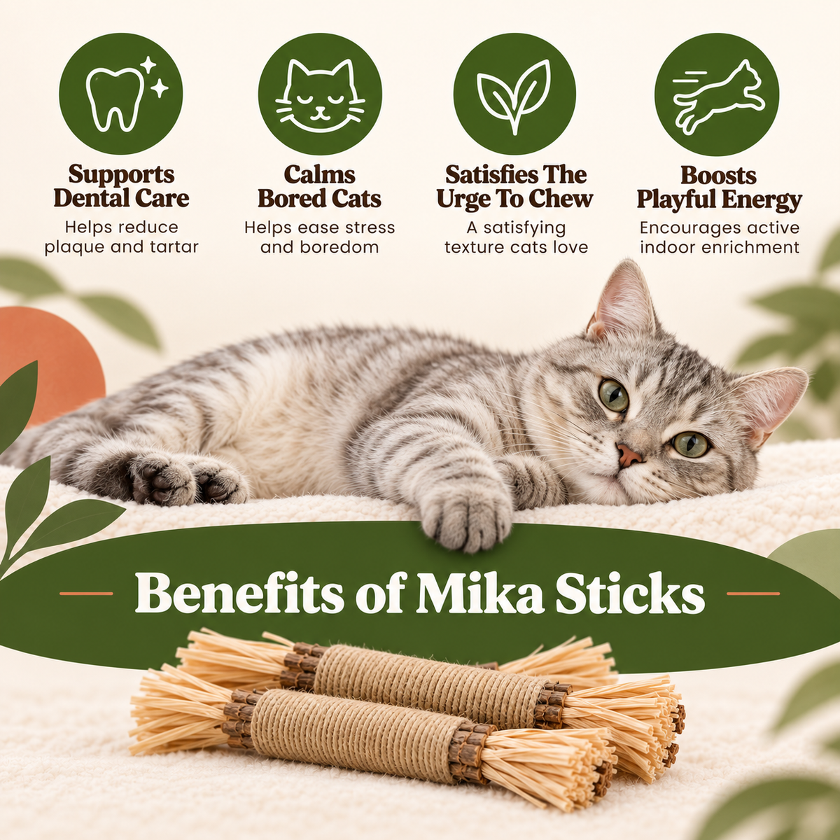 Benefits of Mika silvervine sticks for cats including dental care chewing and enrichment