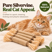 Natural Mika silvervine cat sticks designed for chewing kicking and play