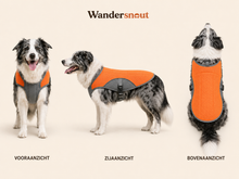 Cooling Jacket | Houd je hond koel op warme dagen