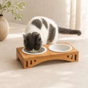 Cat eating from the Arco Dining Stand with two bowls