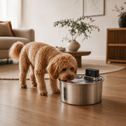 Dog drinking from the Wandersnout AuraFlow Sensor Pro pet fountain