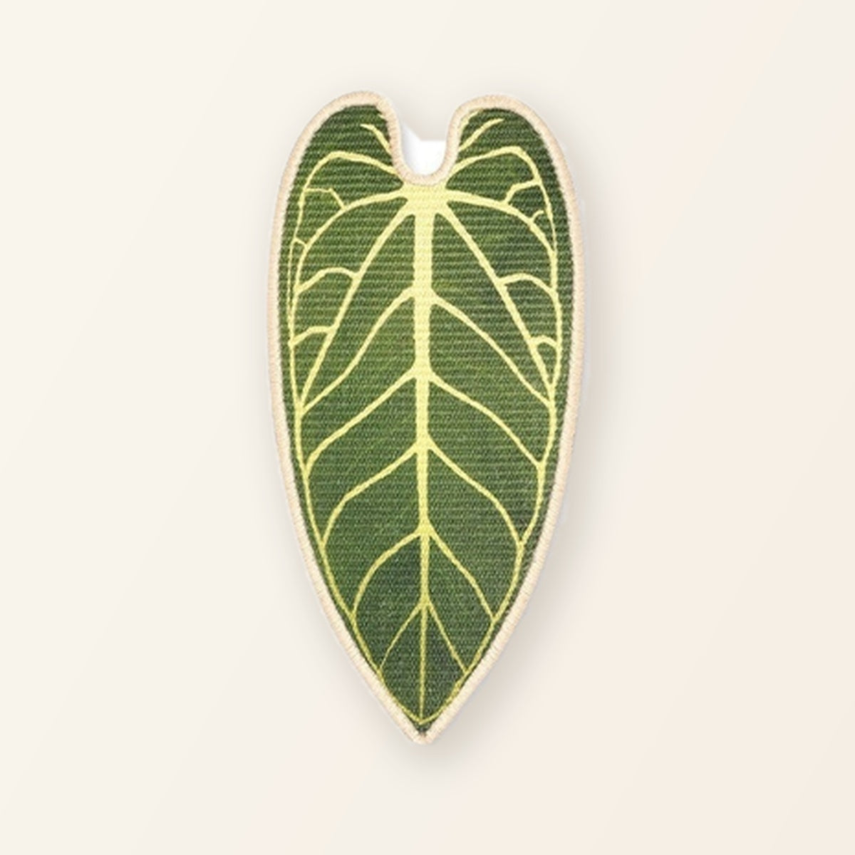 Flora ScratchLeaf Anthurium
