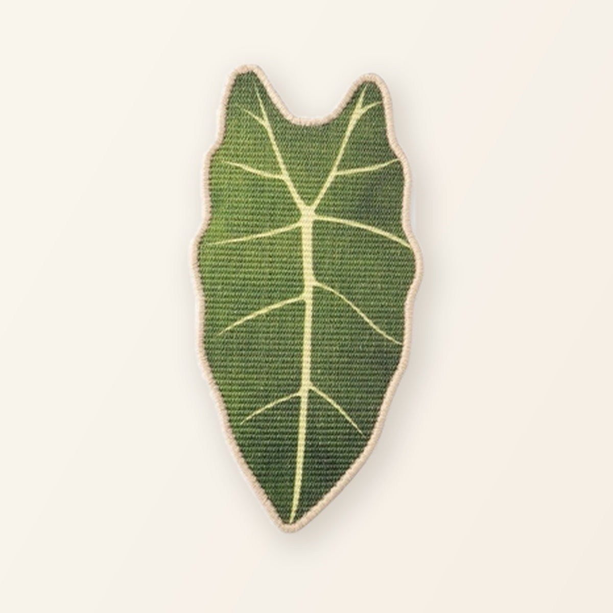 Flora ScratchLeaf Fluweelalocasia