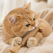 Cat biting and holding a Mika silvervine chew stick