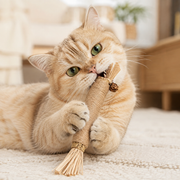 Cat enjoying a Mika silvervine chew stick