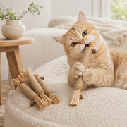 Cat enjoying Mika silvervine chew sticks in a warm home setting