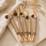 Five Mika silvervine chew sticks for cats