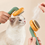 Wandersnout Pumpkin Brush showing the self-cleaning fur release function