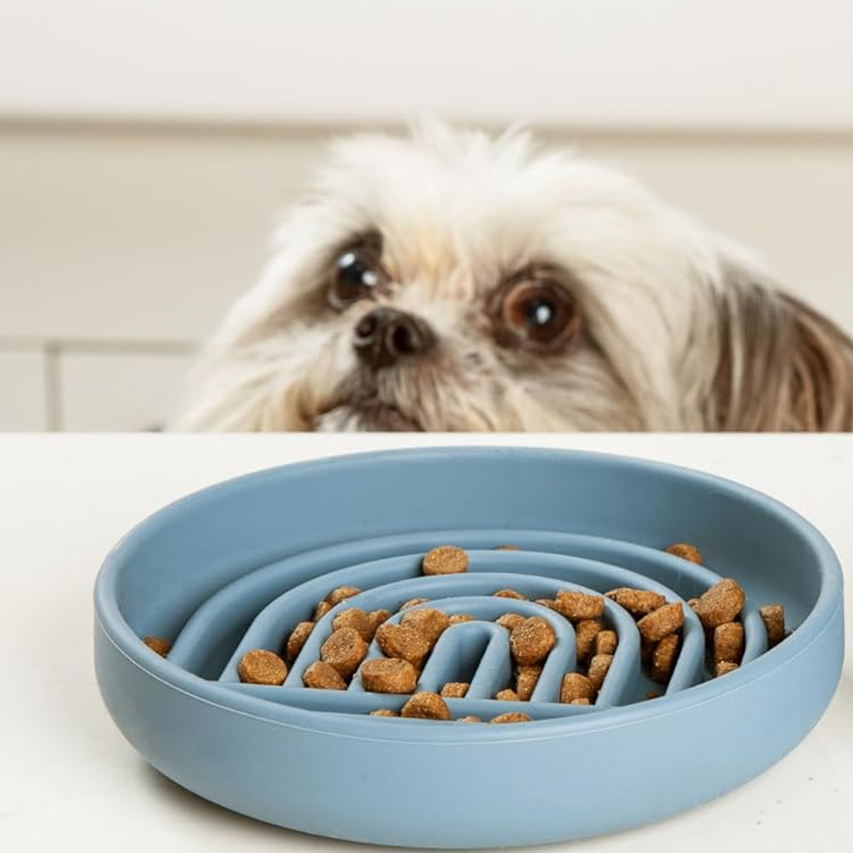 Tempo Slow Bowl | Siliconen slowfeeder voor honden